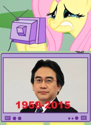 Size: 598x822 | Tagged: safe, banned from derpibooru, deleted from derpibooru, derpibooru import, fluttershy, crying, dead, exploitable meme, meme, news, nintendo, obligatory pony, sad, satoru iwata, tv meme