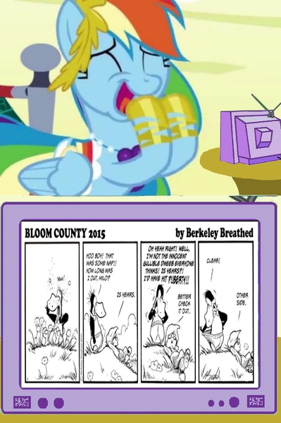 Size: 564x848 | Tagged: safe, banned from derpibooru, deleted from derpibooru, derpibooru import, rainbow dash, bloom county, comic strip, exploitable meme, meme, obligatory pony, tv meme