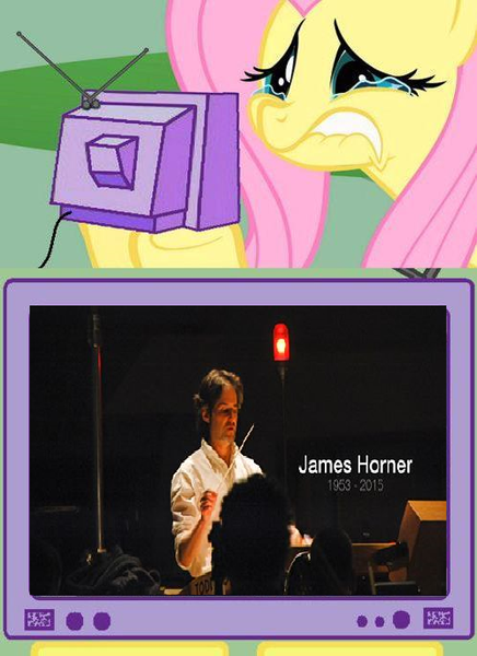 Size: 498x685 | Tagged: safe, banned from derpibooru, deleted from derpibooru, derpibooru import, fluttershy, crying, death, exploitable meme, fluttercry, james horner, meme, obligatory pony, rest in peace, sad, tv meme