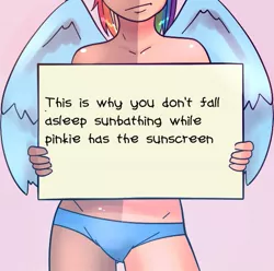Size: 545x540 | Tagged: suggestive, artist:alvrexadpot, artist:officer horse, banned from derpibooru, deleted from derpibooru, derpibooru import, edit, rainbow dash, human, clothes, drama, humanized, more upvotes than her porn, panties, satire, sign, solo, tan lines, text, text edit, underwear