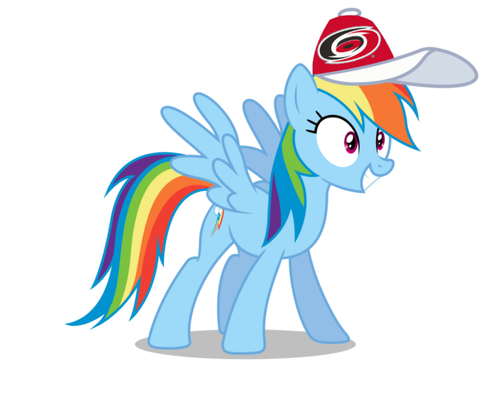 Size: 801x687 | Tagged: safe, banned from derpibooru, deleted from derpibooru, derpibooru import, rainbow dash, carolina hurricanes