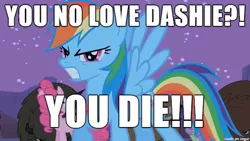 Size: 610x343 | Tagged: safe, banned from derpibooru, deleted from derpibooru, derpibooru import, pinkie pie, rainbow dash, buffalo, angry, best pony, caption, hulk speak, image macro, meme, text