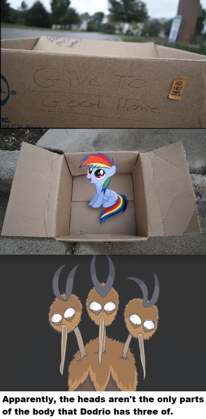 Size: 834x1696 | Tagged: semi-grimdark, banned from derpibooru, deleted from derpibooru, derpibooru import, rainbow dash, dodrio, fanfic:my little dashie, box, dashie meme, evil people finding dash meme, exploitable meme, meme, obligatory pony, pokémon