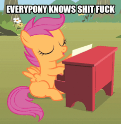 Size: 540x553 | Tagged: safe, banned from derpibooru, deleted from derpibooru, derpibooru import, screencap, scootaloo, animated, caption, cropped, image macro, loop, meme, musical instrument, piano, text, vulgar