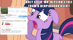 Size: 610x341 | Tagged: safe, banned from derpibooru, deleted from derpibooru, derpibooru import, twilight sparkle, derpibooru, caption, feminism, image macro, meme, meta, mra, mrrepzion, stealing, stolen, text, tumblr feminism