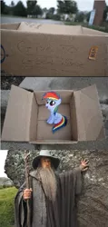 Size: 405x852 | Tagged: safe, banned from derpibooru, deleted from derpibooru, derpibooru import, rainbow dash, fanfic:my little dashie, dashie meme, exploitable meme, gandalf, good people finding dash meme, lord of the rings, meme, obligatory pony