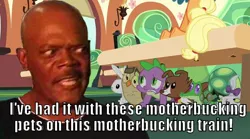 Size: 622x347 | Tagged: safe, banned from derpibooru, deleted from derpibooru, derpibooru import, angel bunny, opalescence, owlowiscious, spike, tank, winona, just for sidekicks, caption, image macro, meme, pets, samuel l jackson, snakes on a plane, snakes on a train, text