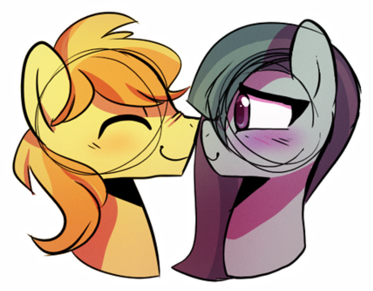 Size: 924x720 | Tagged: safe, artist:little-tweenframes, banned from derpibooru, deleted from derpibooru, derpibooru import, edit, braeburn, marble pie, pony, blushing, braeble, bust, crack shipping, eyes closed, female, male, mare, shipping, simple background, smiling, stallion, straight, white background