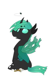 Size: 1280x1869 | Tagged: safe, artist:input-command, banned from derpibooru, deleted from derpibooru, derpibooru import, oc, oc:der, oc:speculo, unofficial characters only, changeling, gryphon, changeling oc, green changeling, micro, simple background, sitting, white background