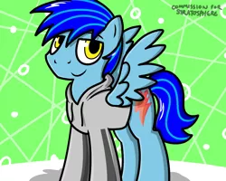 Size: 1000x800 | Tagged: safe, artist:pokefound, banned from derpibooru, deleted from derpibooru, derpibooru import, oc, oc:stratosphere, unofficial characters only, pegasus, pony, abstract background, solo