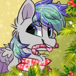 Size: 1000x1000 | Tagged: safe, artist:hiccupsdoesart, banned from derpibooru, deleted from derpibooru, derpibooru import, oc, oc:storm feather, unofficial characters only, candy, candy cane, christmas, clothes, food, holiday, mouth hold, scarf, smiling