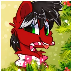 Size: 1000x1000 | Tagged: safe, artist:hiccupsdoesart, banned from derpibooru, deleted from derpibooru, derpibooru import, oc, unofficial characters only, candy, candy cane, christmas, clothes, food, holiday, icon, mouth hold, scarf, smiling