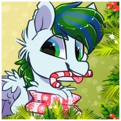 Size: 1000x1000 | Tagged: safe, artist:hiccupsdoesart, banned from derpibooru, deleted from derpibooru, derpibooru import, oc, unofficial characters only, candy, candy cane, christmas, clothes, food, holiday, icon, mouth hold, scarf, smiling