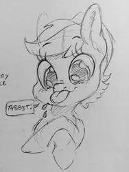 Size: 960x1280 | Tagged: safe, artist:dilarus, banned from derpibooru, deleted from derpibooru, derpibooru import, oc, oc:raspberry razzle, unofficial characters only, pegasus, pony, female, grayscale, mare, monochrome, onomatopoeia, pencil drawing, raspberry, raspberry noise, solo, tongue out, traditional art