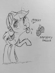 Size: 960x1280 | Tagged: safe, artist:dilarus, banned from derpibooru, deleted from derpibooru, derpibooru import, oc, oc:raspberry razzle, unofficial characters only, pegasus, pony, female, food, grayscale, mare, monochrome, onomatopoeia, pencil drawing, raspberry, raspberry (food), raspberry noise, simple background, solo, tongue out, traditional art, white background