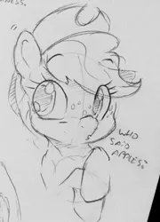 Size: 920x1280 | Tagged: safe, artist:dilarus, banned from derpibooru, deleted from derpibooru, derpibooru import, applejack, earth pony, pony, cowboy hat, dialogue, female, hat, mare, monochrome, simple background, sketch, solo, stetson, traditional art