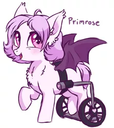 Size: 1000x1126 | Tagged: safe, artist:lopoddity, banned from derpibooru, deleted from derpibooru, derpibooru import, oc, oc:primrose, unofficial characters only, bat pony, pony, pandoraverse, disabled, female, next generation, offspring, paraplegic, parent:oc:nocturnus, parent:oc:willow, parents:oc x oc, physical disability, simple background, solo, wheelchair, white background