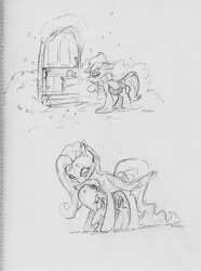 Size: 2453x3300 | Tagged: safe, artist:dilarus, banned from derpibooru, deleted from derpibooru, derpibooru import, fluttershy, rainbow dash, pegasus, pony, fanfic:lanky and the nyoom, clothes, door, duo, female, flutterdash, grayscale, lesbian, mare, monochrome, raised hoof, scarf, shipping, smoldash, snow, tallershy, traditional art, winter