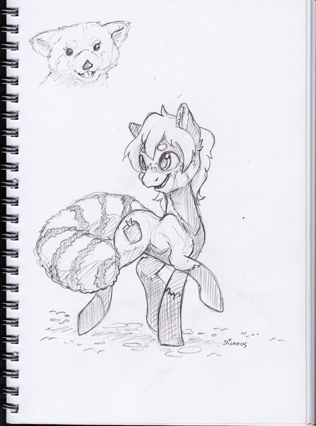 Size: 1841x2479 | Tagged: safe, artist:dilarus, banned from derpibooru, deleted from derpibooru, derpibooru import, ponified, pony, red panda, cutie mark, grayscale, monochrome, raised hoof, signature, simple background, sketch, smiling, solo, traditional art, walking