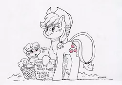 Size: 1998x1390 | Tagged: safe, artist:dilarus, banned from derpibooru, deleted from derpibooru, derpibooru import, applejack, pinkie pie, earth pony, pony, apple basket, applepie, basket, cowboy hat, double entendre, female, hat, ink drawing, lesbian, mare, monochrome, shipping, sign, simple background, sketch, smiling, traditional art, white background
