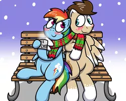 Size: 1000x800 | Tagged: safe, artist:pokefound, banned from derpibooru, deleted from derpibooru, derpibooru import, rainbow dash, oc, oc:skittle, bench, blushing, canon x oc, clothes, female, male, scarf, shared clothing, shared scarf, shipping, sitting, skidash, snow, straight