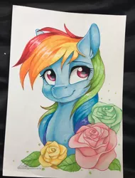 Size: 750x985 | Tagged: safe, artist:dvixie, banned from derpibooru, deleted from derpibooru, derpibooru import, rainbow dash, pegasus, pony, bust, cute, dashabetes, female, flower, mare, portrait, rose, signature, solo, traditional art, watercolor painting