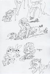 Size: 2369x3482 | Tagged: safe, artist:dilarus, banned from derpibooru, deleted from derpibooru, derpibooru import, angel bunny, fluttershy, gummy, opalescence, owlowiscious, rainbow dash, tank, winona, alligator, anthro, bird, cat, dog, owl, pegasus, pony, rabbit, tortoise, :o, :p, animal, anthro with ponies, beefcake, cute, female, filly, floppy ears, head tilt, heart, lip bite, long neck, mare, monochrome, muscles, neigh, omae wa mou shindeiru, onomatopoeia, open mouth, petting, question mark, raised eyebrow, sad, sitting, size difference, smiling, smol, smoldash, surprised, sweat, tallershy, tol, tongue out, traditional art