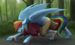Size: 1221x726 | Tagged: safe, artist:acesential, artist:geoffrey mcdermott, banned from derpibooru, deleted from derpibooru, derpibooru import, rainbow dash, pegasus, pony, all fours, clothes, cutie mark, human to pony, looking back, open mouth, shirt, shorts, smiling, transformation, wings