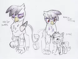 Size: 2248x1721 | Tagged: safe, artist:dilarus, banned from derpibooru, deleted from derpibooru, derpibooru import, gilda, rainbow dash, gryphon, pegasus, pony, colored, dialogue, dweeb, simple background, size difference, smol, smoldash, traditional art, white background
