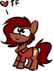 Size: 75x101 | Tagged: safe, artist:acesential, banned from derpibooru, deleted from derpibooru, derpibooru import, oc, oc:penny, earth pony, pony, female, implied transformation, mare, picture for breezies, polo shirt, solo