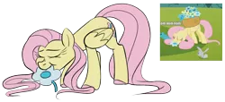 Size: 1408x640 | Tagged: safe, artist:taaffeiite, banned from derpibooru, deleted from derpibooru, derpibooru import, fluttershy, pegasus, pony, swarm of the century, colored hooves, comparison, eating, eyes closed, female, flower, grazing, horses doing horse things, mare, nom, redraw, scene interpretation, simple background, solo, transparent background