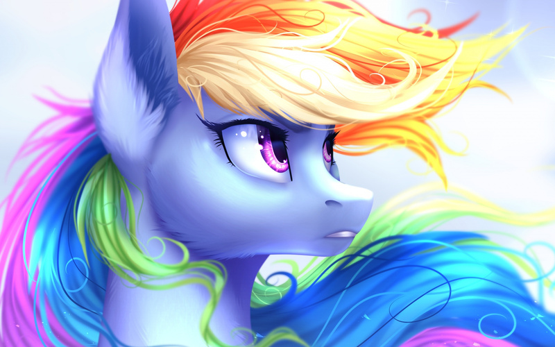 Size: 2560x1600 | Tagged: safe, artist:petrinox, banned from derpibooru, deleted from derpibooru, derpibooru import, rainbow dash, pegasus, pony, beautiful, bust, cheek fluff, cropped, ear fluff, female, fluffy, head, mare, portrait, sky, solo, wind, windswept mane