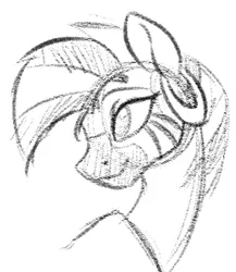 Size: 443x511 | Tagged: safe, artist:acesential, banned from derpibooru, deleted from derpibooru, derpibooru import, zecora, zebra, bust, ear piercing, earring, grayscale, jewelry, monochrome, piercing, portrait, quadrupedal, simple background, sketch, solo, white background