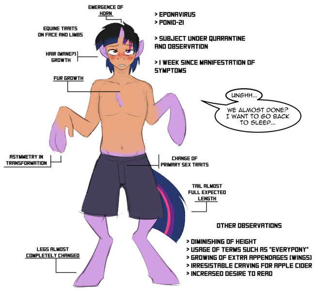 Size: 983x894 | Tagged: suggestive, artist:acesential, banned from derpibooru, deleted from derpibooru, derpibooru import, twilight sparkle, alicorn, human, pony, belly button, blushing, chest fluff, eponavirus, human to pony, implied coronavirus, infographic, lidded eyes, male to female, partial transformation, ponid-21, rule 63, simple background, sleepy, solo, tired, transformation, transgender transformation, trousers, virus, white background