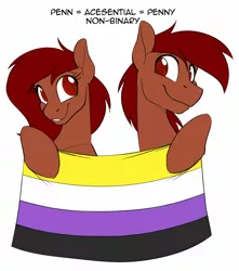 Size: 1280x1446 | Tagged: safe, artist:acesential, banned from derpibooru, deleted from derpibooru, derpibooru import, oc, oc:penn, oc:penny, unofficial characters only, earth pony, pony, nonbinary, nonbinary pride flag, pride, pride flag