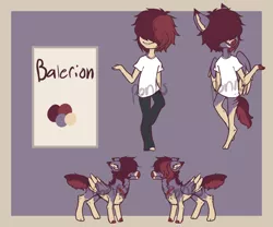 Size: 1200x1000 | Tagged: safe, artist:ponns, banned from derpibooru, deleted from derpibooru, derpibooru import, oc, oc:balerion, unofficial characters only, anthro, human, pegasus, unguligrade anthro, clothes, hair over eyes, humanized, pegasus oc, reference sheet, wings