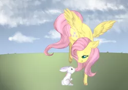 Size: 1000x698 | Tagged: safe, artist:ponns, banned from derpibooru, deleted from derpibooru, derpibooru import, angel bunny, fluttershy, pegasus, pony, rabbit, animal, cloud, duo, eye contact, female, flying, looking at each other, male, mare, outdoors