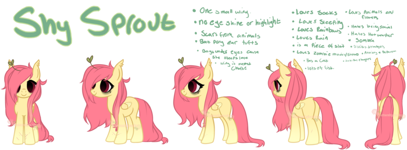 Size: 6762x2500 | Tagged: safe, artist:axolotlshy, banned from derpibooru, deleted from derpibooru, derpibooru import, oc, oc:shy sprout, unofficial characters only, pegasus, pony, bags under eyes, base used, ear fluff, not fluttershy, red eyes, reference sheet, scar, simple background, small wings, solo, transparent background, vulgar, wings