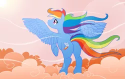 Size: 1267x800 | Tagged: dead source, safe, artist:atlur, banned from derpibooru, deleted from derpibooru, derpibooru import, rainbow dash, pegasus, pony, butt, cloud, cloudy, female, flying, mare, photoshop, plot, rear view, solo, wind