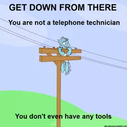 Size: 700x700 | Tagged: safe, artist:input-command, banned from derpibooru, deleted from derpibooru, derpibooru import, screw loose, phone line, ponified animal photo, power line, solo, text