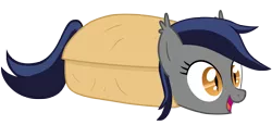 Size: 5000x2293 | Tagged: safe, artist:vito, banned from derpibooru, deleted from derpibooru, derpibooru import, oc, oc:echo, unofficial characters only, bat pony, pony, batburrito, blanket, blanket burrito, burrito, cute, fangs, food, open mouth, simple background, smiling, solo, transparent background, vector