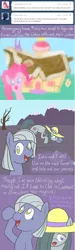 Size: 652x2164 | Tagged: safe, artist:atlur, banned from derpibooru, deleted from derpibooru, derpibooru import, limestone pie, marble pie, pinkie pie, ask the pie sisters, ask, comic, tumblr