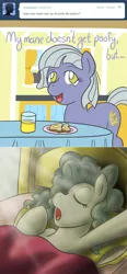 Size: 650x1403 | Tagged: safe, artist:atlur, banned from derpibooru, deleted from derpibooru, derpibooru import, limestone pie, marble pie, ask the pie sisters, ask, comic, morning ponies, tumblr