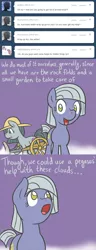 Size: 650x1701 | Tagged: safe, artist:atlur, banned from derpibooru, deleted from derpibooru, derpibooru import, limestone pie, marble pie, ask the pie sisters, ask, comic, hat, tumblr