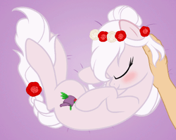 Size: 800x633 | Tagged: safe, artist:vito, banned from derpibooru, deleted from derpibooru, derpibooru import, oc, oc:flora, unofficial characters only, earth pony, human, pony, animated, blushing, braid, commission, cute, eyes closed, flower, flower in hair, happy, offscreen character, petting, pov, rubbing, side, smiling, solo focus, wreath