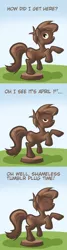 Size: 675x2526 | Tagged: safe, artist:southparktaoist, banned from derpibooru, deleted from derpibooru, derpibooru import, ponified, chocolate pony, food pony, original species, pony, ask, chocolate, comic, food, solo, thefyrefly, tumblr