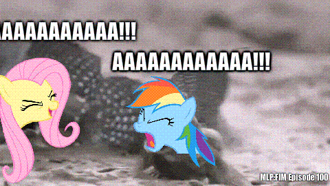 Size: 480x270 | Tagged: safe, artist:acesential, banned from derpibooru, deleted from derpibooru, derpibooru import, edit, fluttershy, rainbow dash, crab, fish, pony, fighting is magic, sonic rainboom (episode), 100th episode, aaaaaaaaaa, angry, animated, body swap, camera shot, excited, eyes closed, face swap, female, fight, flutterdash, flutteryay, friends, frown, funny, grumpy dash, head swap, hype, irl, joke, lesbian, lol, louder, mudskipper, not salmon, open mouth, photo, photo edit, ponies in real life, pony face, pony head, reaction gif, roleplay, roleplaying, screaming, seizure warning, shipping, smiling, species swap, text, wat, wtf, yay