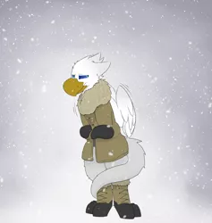 Size: 1280x1351 | Tagged: safe, artist:input-command, banned from derpibooru, deleted from derpibooru, derpibooru import, oc, oc:der, unofficial characters only, gryphon, clothes, snow, snowfall, solo