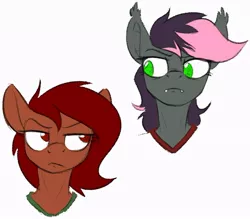 Size: 912x799 | Tagged: safe, artist:acesential, banned from derpibooru, deleted from derpibooru, derpibooru import, oc, oc:penny, oc:quill, unofficial characters only, anthro, bat pony, earth pony, bust, duo