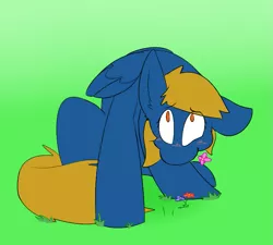 Size: 737x664 | Tagged: safe, artist:input-command, banned from derpibooru, deleted from derpibooru, derpibooru import, oc, oc:rainy season, unofficial characters only, pegasus, pony, blushing, cute, eating, flower